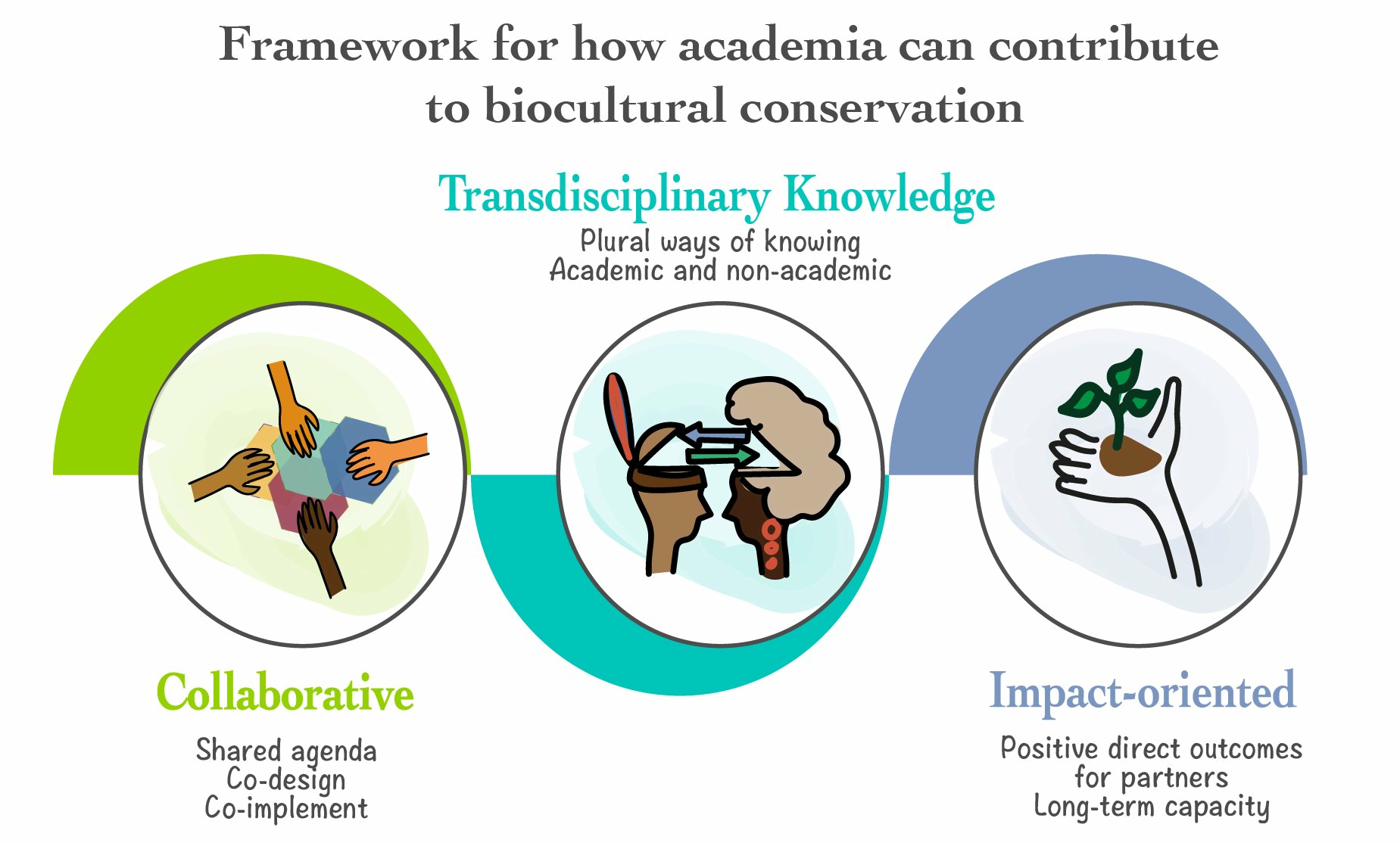Framework for how academia can contribute to biocultural conservation — three linked circles: Collaborative, Transdisciplinary Knowledge, Impact-oriented.