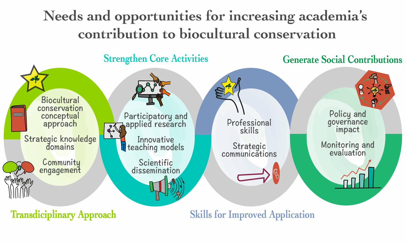 Pathways for academic contribution to biocultural conservation — showing transdisciplinary approach, strengthened core activities, skills for improved application, and social contributions.