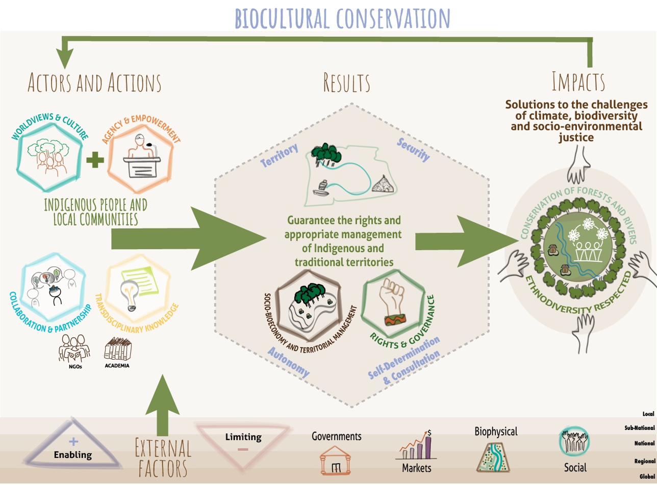Theory of Change for Biocultural Conservation — showing actors and actions, results, and impacts, with external factors.